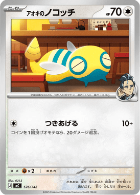 アオキのノコッチ