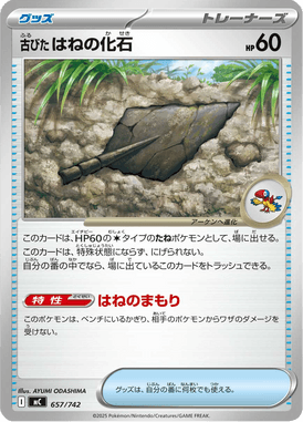 古びたはねの化石