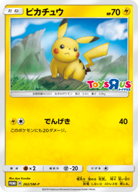 #262
