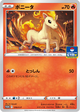 #310