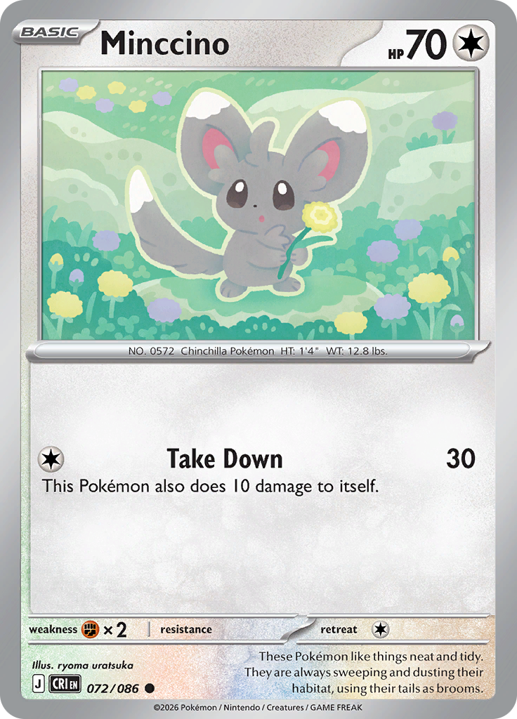 Minccino